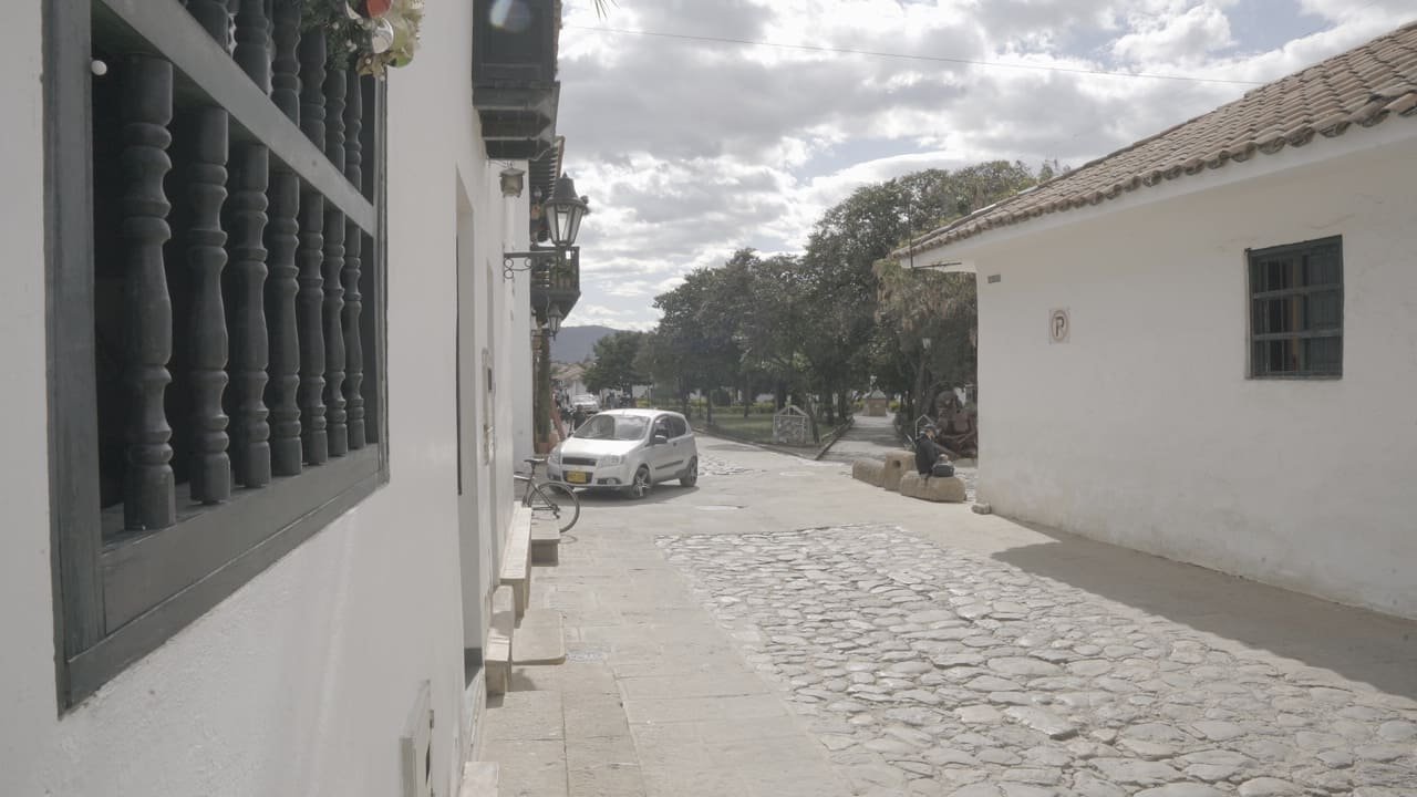C0137T01